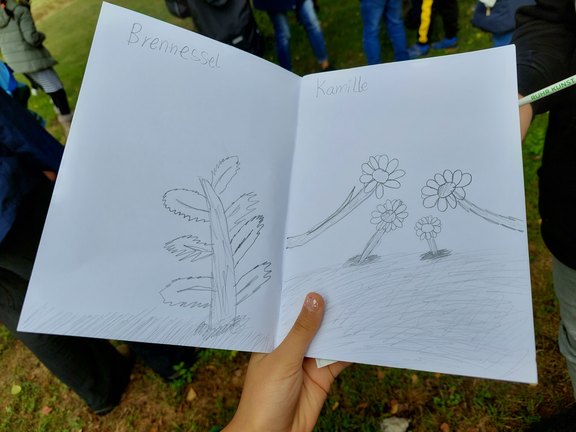 Naturerlebniswanderung bei den TalentTagen Ruhr